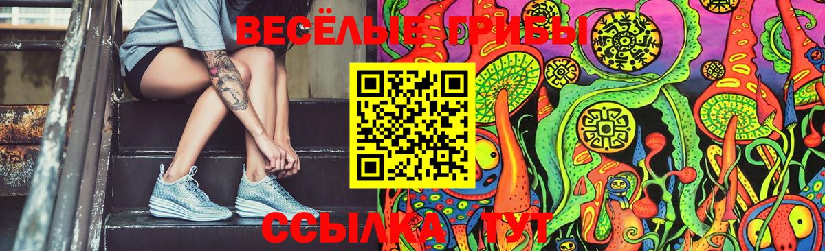 Псилоцибиновые грибы Cubensis Нижний Тагил